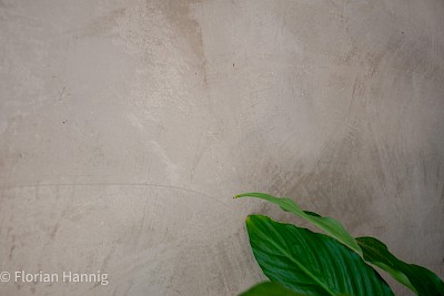 Fugenlose Wand von Volimea. Decke und Wände glatt gespachtelt und fein gestrichen